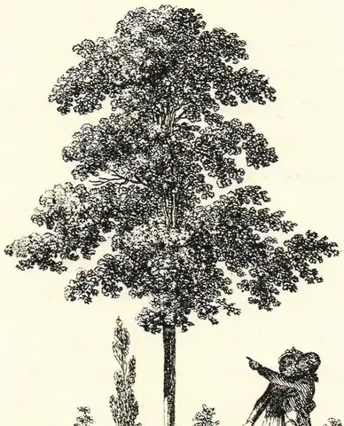 Illustration, sida 134