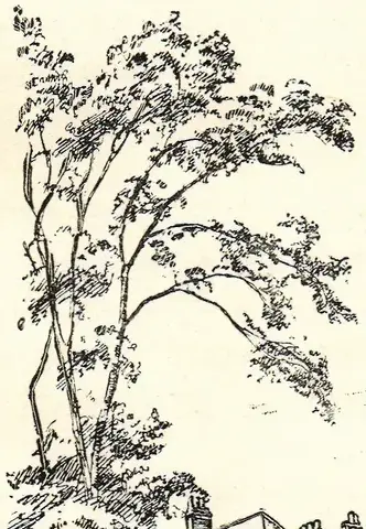 Illustration, sida 175