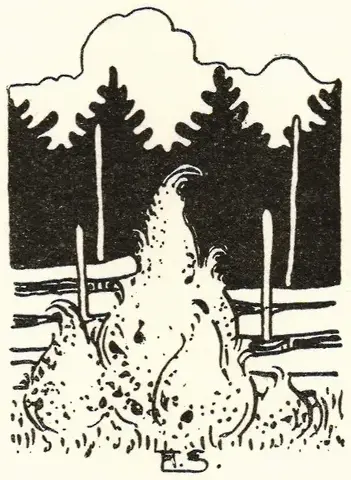Illustration, sida 183