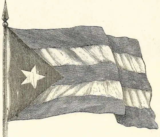 Illustration, sida 238