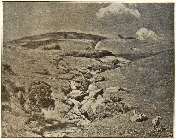 Illustration, sida 280