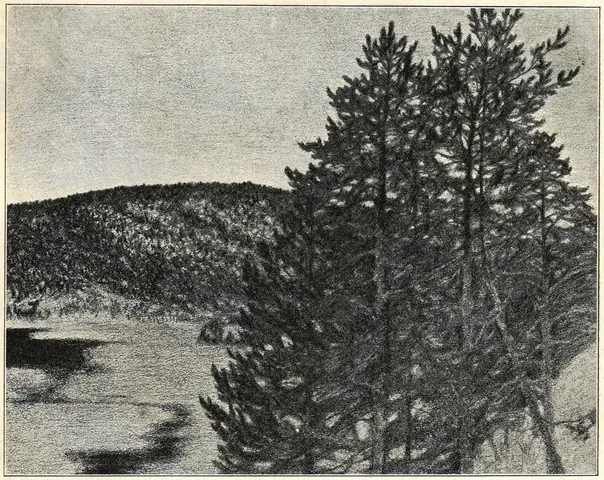Illustration, sida 295