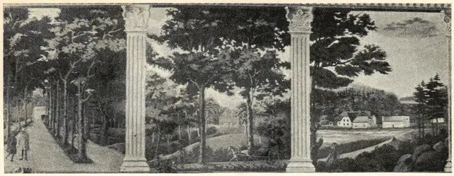 Illustration, sida 345