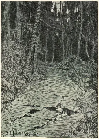 Illustration, sida 384