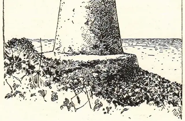 Illustration, sida 401