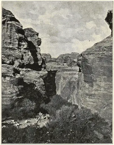 Illustration, sida 509