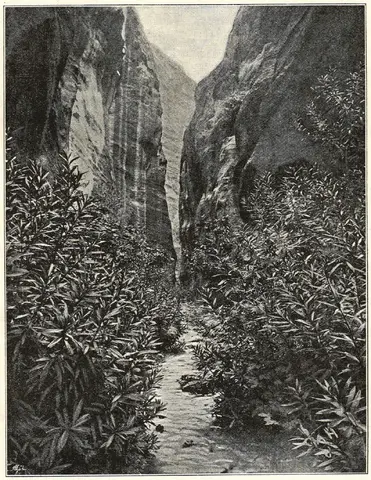 Illustration, sida 513