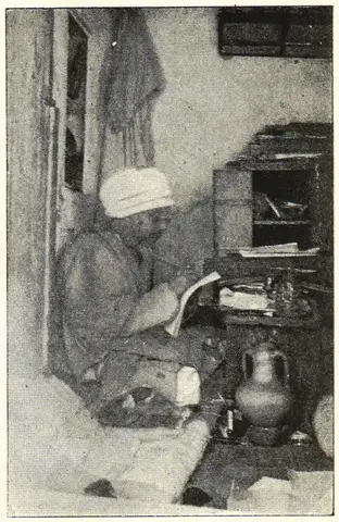 Illustration, sida 203