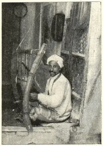 Illustration, sida 204