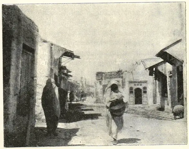 Illustration, sida 204