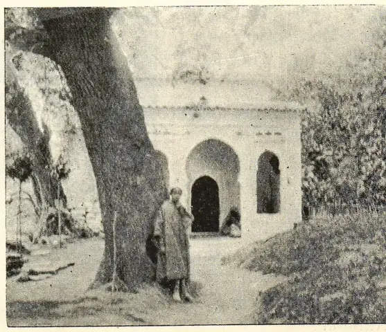 Illustration, sida 208