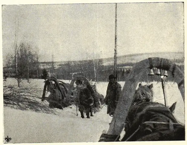 Illustration, sida 329