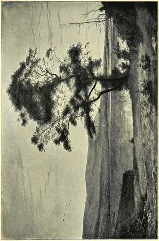 Illustration ur Ord och Bild: 1899 (1899), sida 357