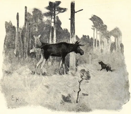 Illustration, sida 382
