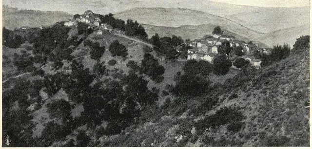 Illustration, sida 491