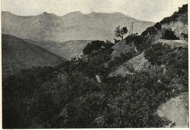 Illustration, sida 493