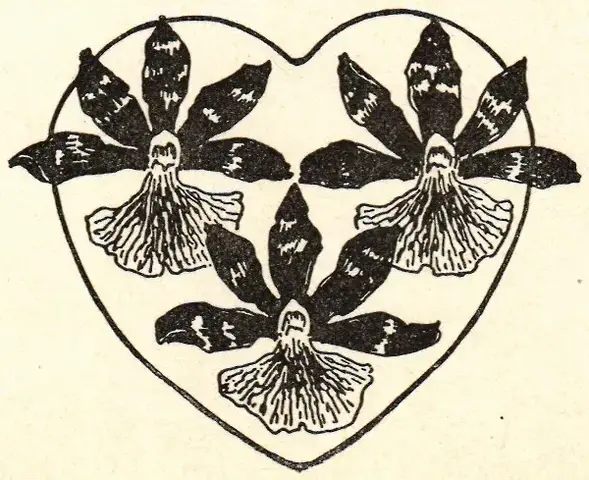 Illustration, sida ix