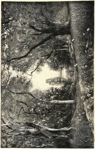 Illustration ur Ord och Bild: 1900 (1900), sida 187