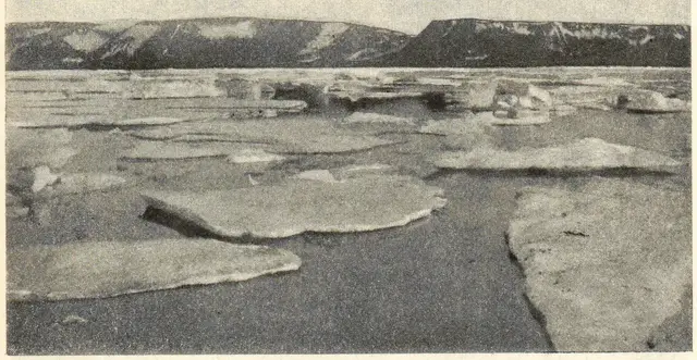 Illustration ur Ord och Bild: 1900 (1900), sida 335