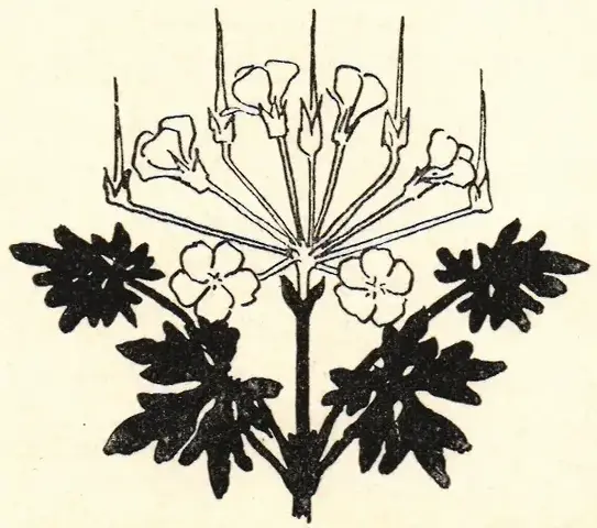 Illustration ur Ord och Bild: 1900 (1900), sida 414