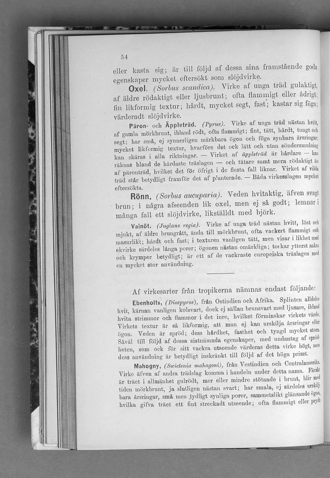 Originalsida 54