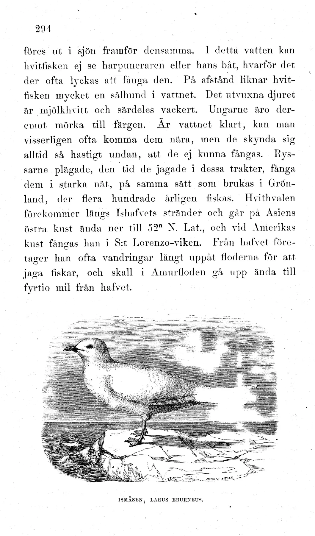 Originalsida 308