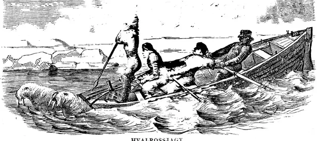 Illustration ur Spetsbergen 1861 (1865), sida 196