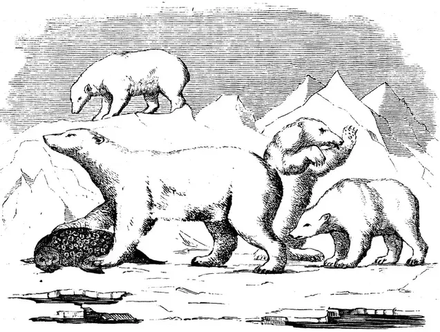 Illustration ur Spetsbergen 1861 (1865), sida 220