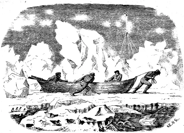 Illustration ur Spetsbergen 1861 (1865), sida 246