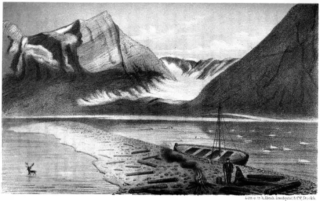 Illustration ur Spetsbergen 1861 (1865), sida 339