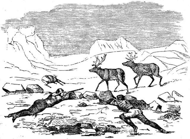 Illustration ur Spetsbergen 1861 (1865), sida 348