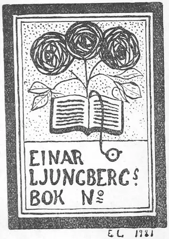 Illustration, sida vi