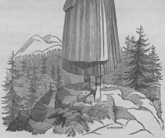 Illustration, sida 45