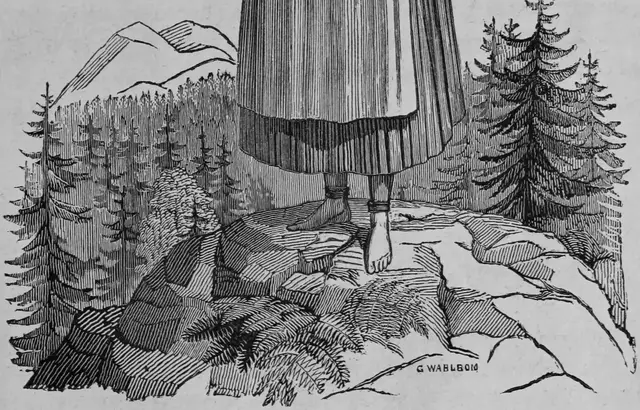 Illustration, sida 163