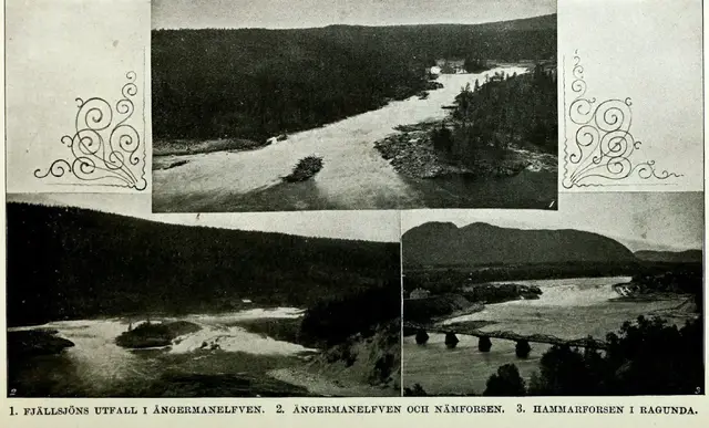 Illustration, sida 306