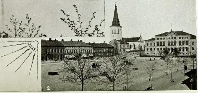 Illustration ur Åter i Sverige (1897), sida 594
