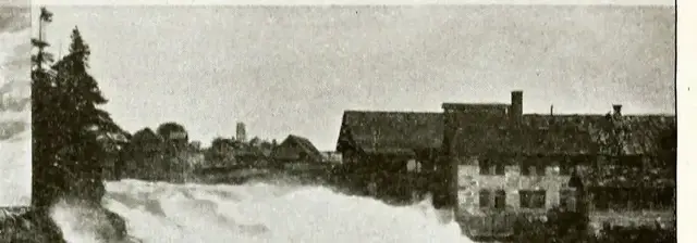 Illustration ur Åter i Sverige (1897), sida 605