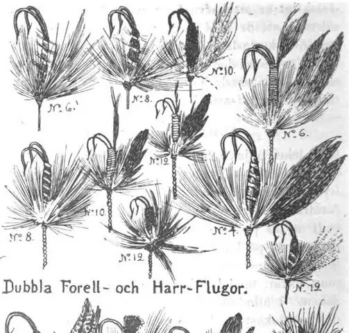 Illustration ur Vägledning i Fiske (1900), sida 90