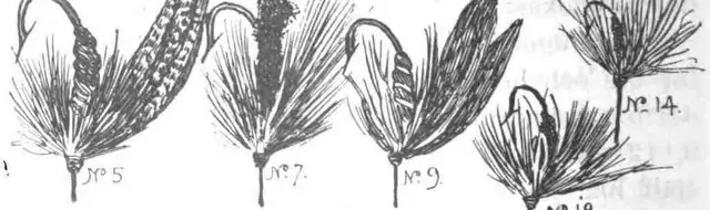 Illustration ur Vägledning i Fiske (1900), sida 90