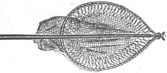 Illustration ur Vägledning i Fiske (1900), sida 109