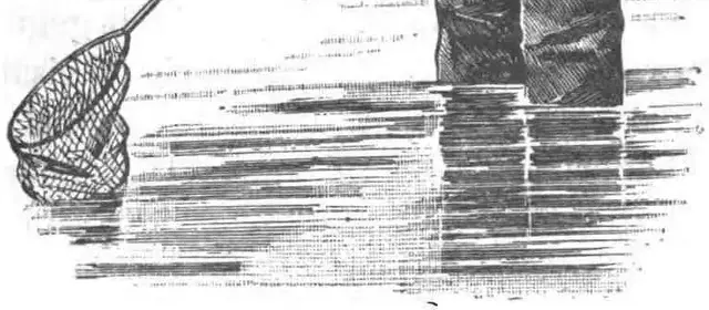 Illustration ur Vägledning i Fiske (1900), sida 111