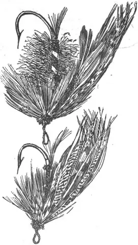 Illustration ur Vägledning i Fiske (1900), sida 115