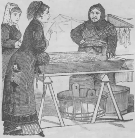 Illustration, sida 247