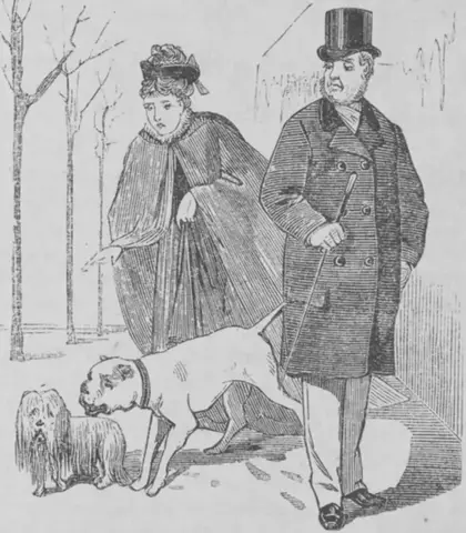 Illustration, sida 375