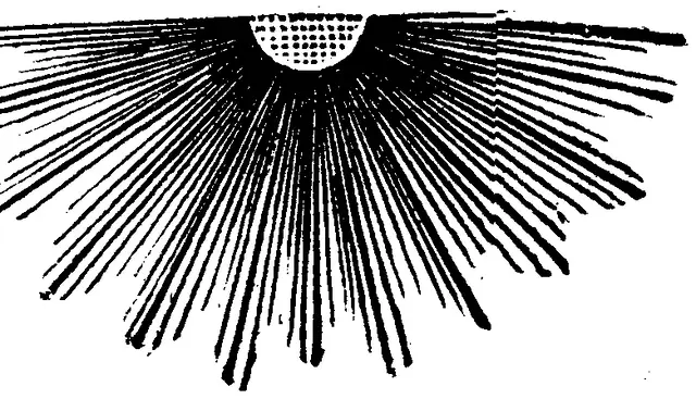 Illustration ur Kort beskrifning om solen, jorden och månen. (1859), sida 12