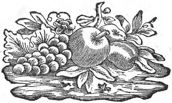 Illustration ur Jämförelse emellan norra och södra polkretsen (1786), sida 1