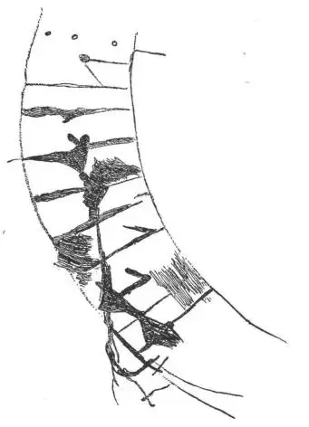 Illustration, sida 153