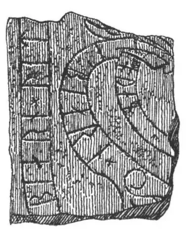 Illustration, sida 156