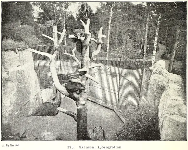 Illustration ur Stockholm. Sveriges hufvudstad: Del 1 (1897), sida 516