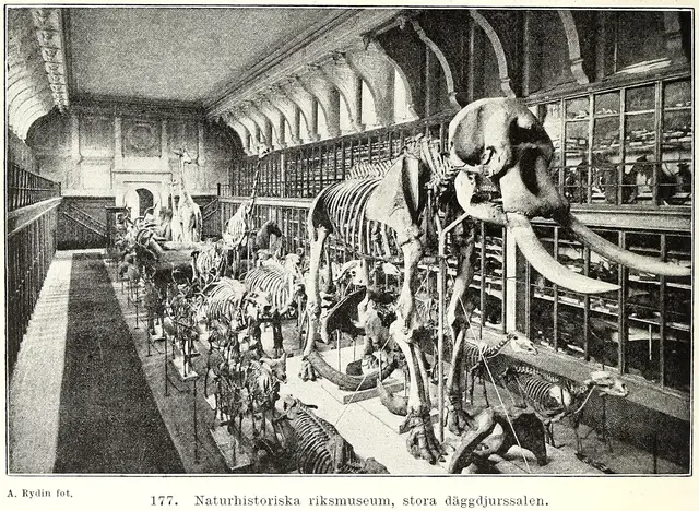 Illustration ur Stockholm. Sveriges hufvudstad: Del 1 (1897), sida 520